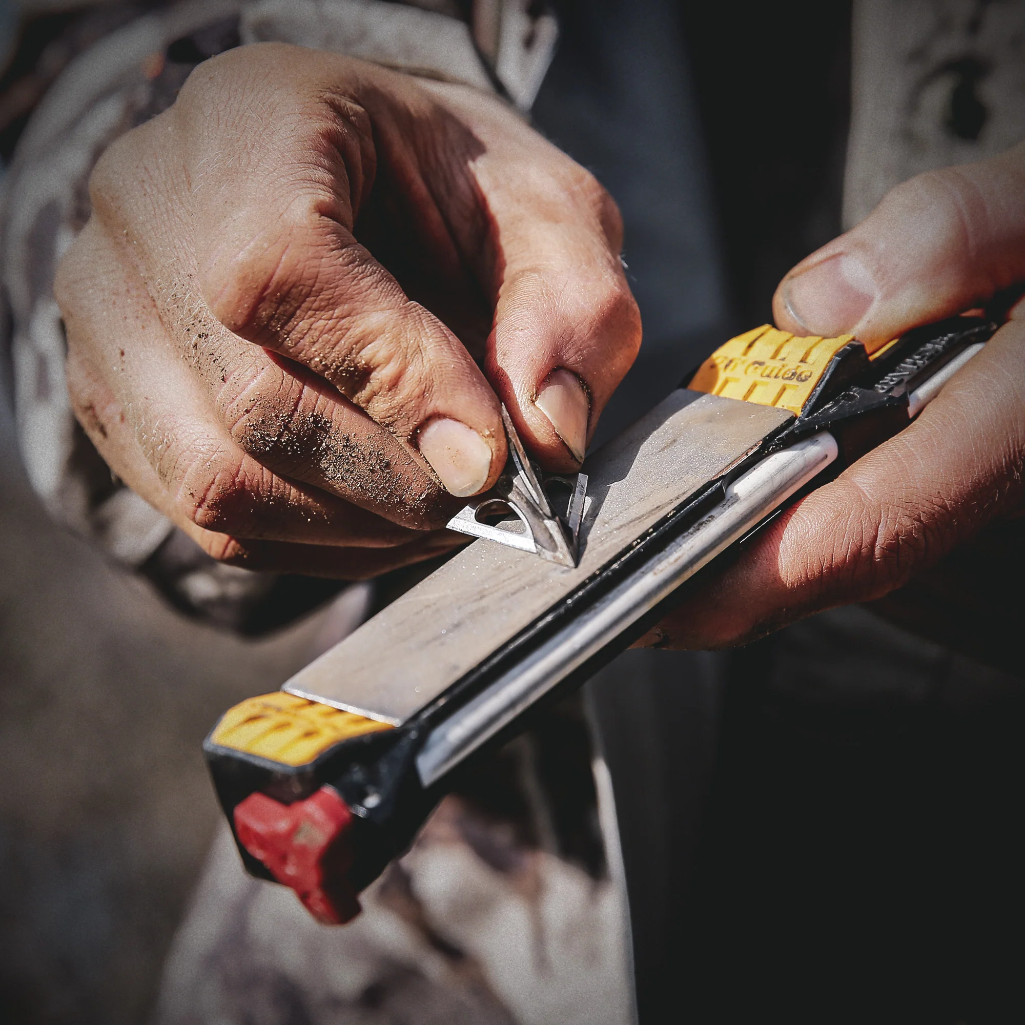 Guided Field Sharpener - Image 9